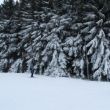 Ski&euml;n