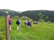 Wandelparadijs